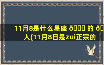 11月8是什么星座 🐛 的 🐝 人(11月8日是zui
正宗的天蝎座)